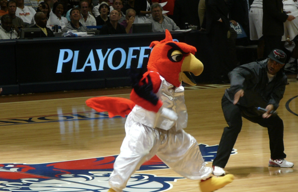 Harry the Hawk